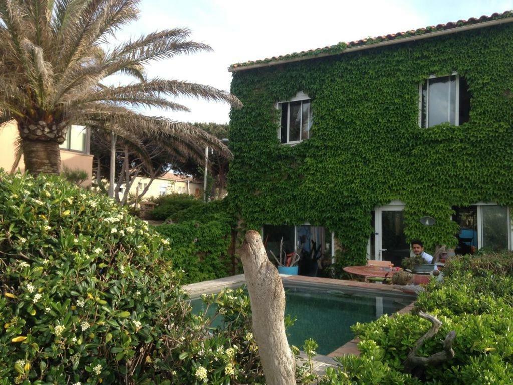 Un Coin De Paradis Six-Fours-les-Plages Exterior photo